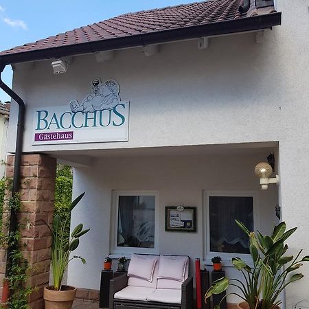 Gaestehaus Bacchus Wachenheim an der Weinstrasse Luaran gambar