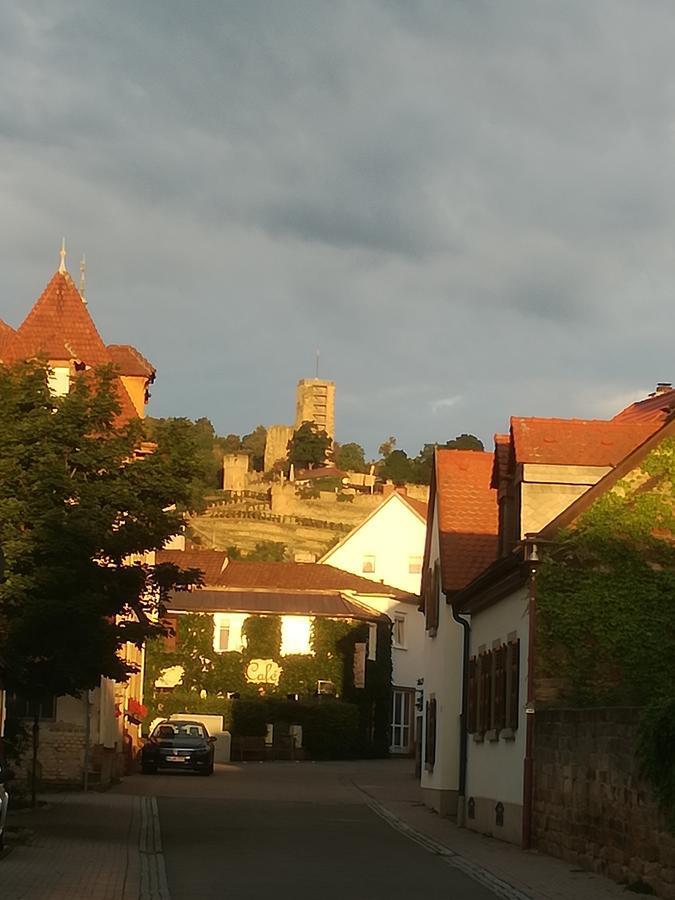 Gaestehaus Bacchus Wachenheim an der Weinstrasse Luaran gambar
